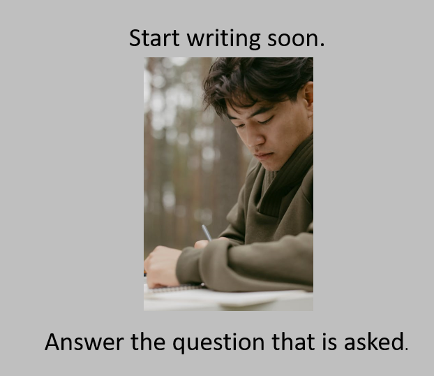 Cover essay questions shot